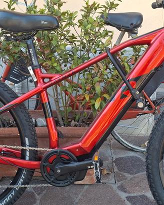 ebike raymond