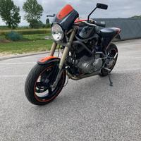 Buell