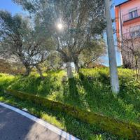 TER. RESIDENZIALE A COSENZA