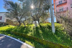 TER. RESIDENZIALE A COSENZA