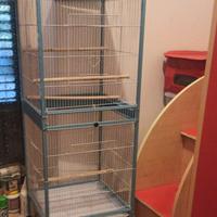 voliera 51.5x50x140 cm con ruote e accessori