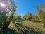 Immagine 20