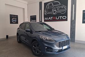 Ford Kuga 2.0 EcoBlue 190 CV aut. AWD ST-Line