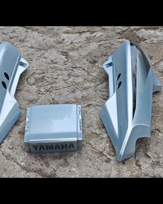 codone Yamaha FZ6 prima serie 