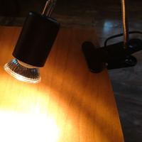 lampada per terrari 