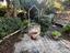 Immagine 26