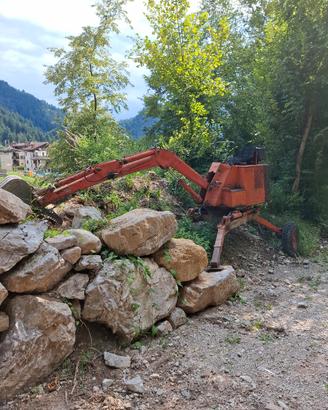 miniescavatore ragno