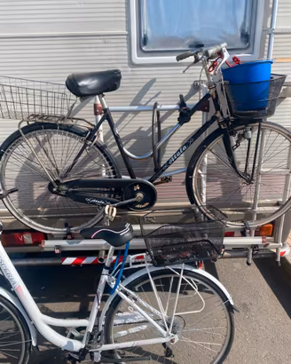 2 biciclette  marca  experia,   E , atala