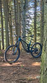 PROPAIN TYEE CF 6 FLIGHT ATTENDANT XX