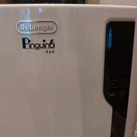 Condizionatore Pinguino r290