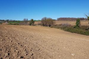 Terreno agricolo