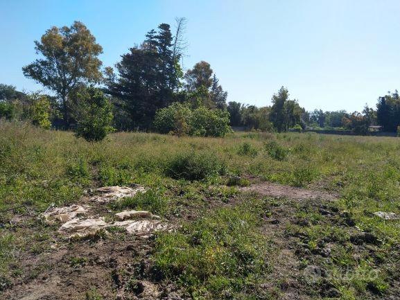 Terreno agricolo in zona Sa Rodia