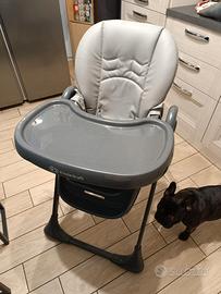 Seggiolone 2 in 1, Ergonomico, Confortevole, Recli