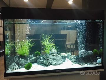 Acquario Jewrl Rio 125