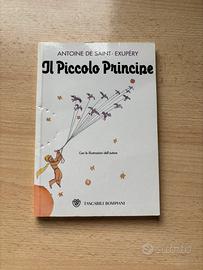 Il Piccolo Principe