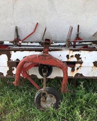 Ranghinatore Morellato 1.8m