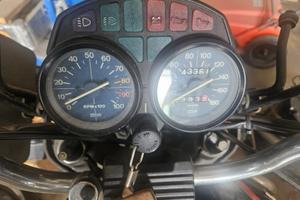 Guzzi
