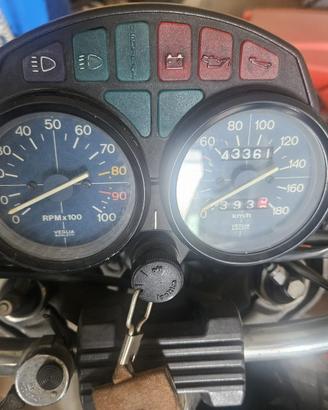 Guzzi