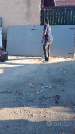 PORTONE 2 ANTE IN FERRO