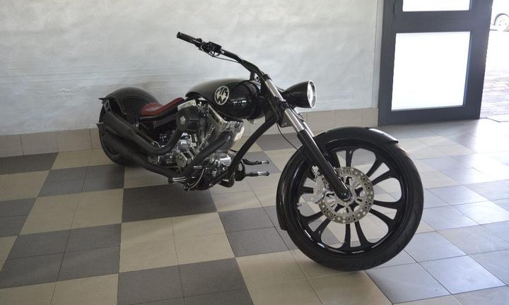HARLEY-DAVIDSON FXSTC Softail Custom War Eagle 2
