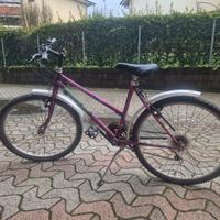 bicicletta mountain bike ragazza 