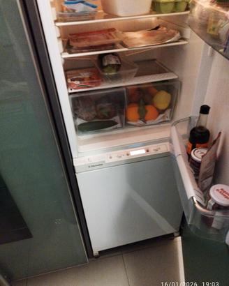 frigorifero con freezer