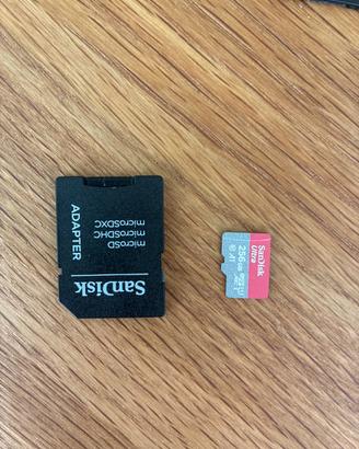 MicroSDXC 256 GB+ adattatore SD