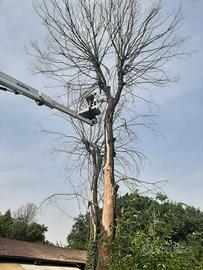 Giardiniere professionale con anni di esperienza