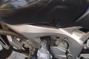 copriserbatoio Bagster FZ6 