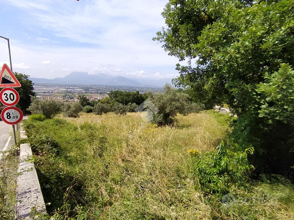 TER. AGRICOLO A PIEDIMONTE SAN GERMANO - Vista 5