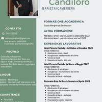 Barista e cameriera si propone