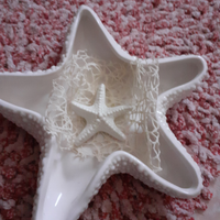 Ceneriera/svuota tasche stella marina