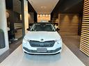 skoda-kamiq-1-0-tsi-ambition-black-dots