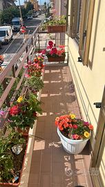 Falconara - case unrra ( rif. e96-3532)