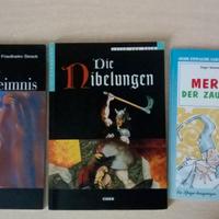 Libri scuola estate tedesco