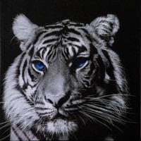 Quadro Fotografico Retroilluminato