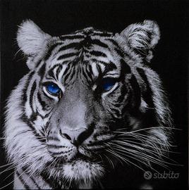 Quadro Fotografico Retroilluminato