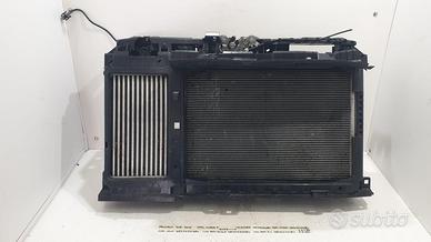 CALANDRA CON KIT RADIATORI PEUGEOT 208 Serie 98247