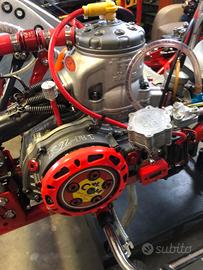 motore kart tm r1