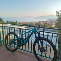 Specialized enduro comp 