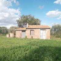 Uliveto con casaletto