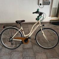 bicicletta vintage 