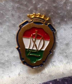 Spilla vintage Religiosa NDL Notre Dame De Lourdes