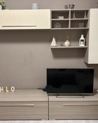 Parete soggiorno televisore incluso
