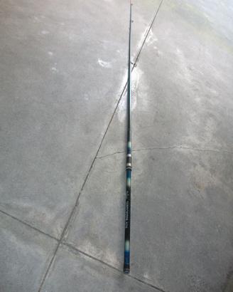Canna da pesca DAIWA