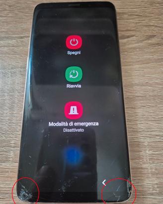 SAMSUNG S9 PLUS 256GB
