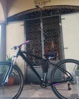 wheelie bike 