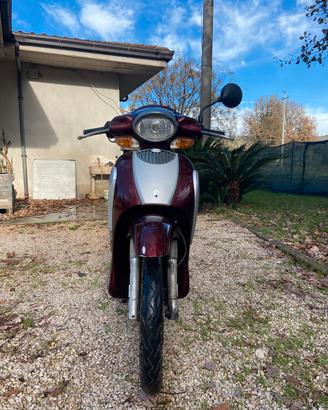 Scarabeo 50 aprilia