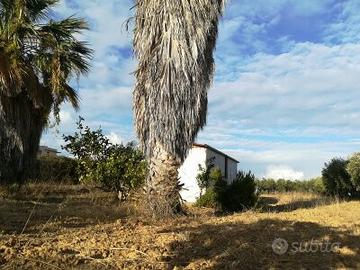 Terreno edificabile in fascia costiera