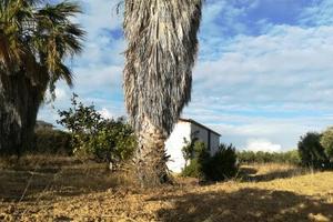 Terreno edificabile in fascia costiera